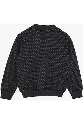 Breeze Girls & Boys Erkek Çocuk Hırka Fermuarlı Arma 2-6 Yaş, Antrasit-antrasit Antrasit