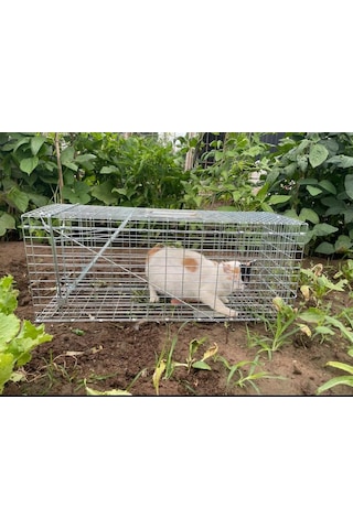Kedi Kapanı Kedi Canlı Yakalama Zararsız Kedi Tuzağı Kedi Canlı Y