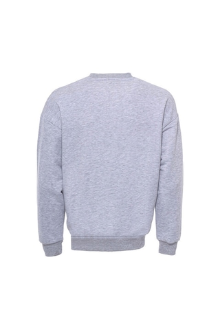 Wessi Gri Bisiklet Yaka Nakışlı Erkek Sweat Gri