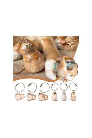 Kedi Şeffaf Anı Anahtarlığı - Kedi Figürlü - Karışık Model
