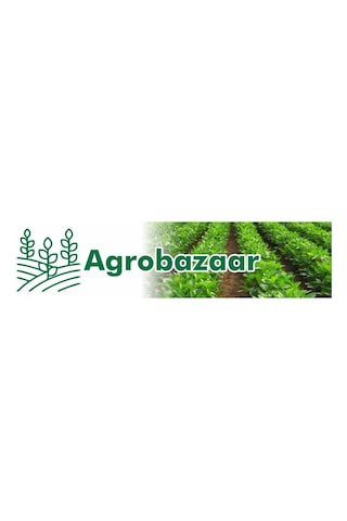 Sorgum Sudan Otu Tohumu 1 KG N118065