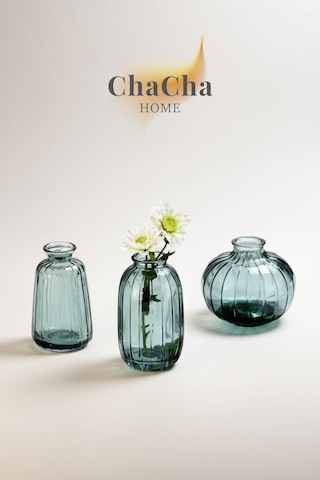 Chacha Home Modern 3'lü Minimalist Cam Çiçek Vazosu Dekoratif Masa Üstü Vazo Seti Turkuaz