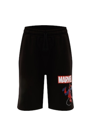 Bl Spıderman 20gfb647 4fx Siyah Erkek Çocuk Şort Siyah