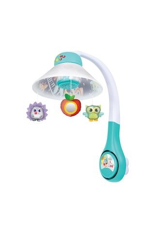 Winfun Orman Arkadaşları Dönence - Standart