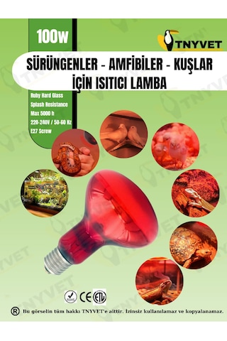 100 Watt Kızılötesi / Kırmızı Işık Isıtıcı Lambalar Sürüngenler,