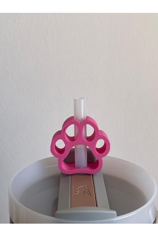 Pati Koruyucu Model Pipet Süsü Termos Uyumlu Quencher İle Uyumlu Pembe