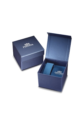 Festına F20742/1 Tımeless Chronograph Erkek Kol Saati Gri