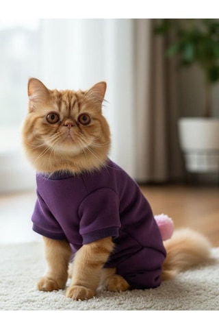 Ponpon Detaylı Kedi Tulumu Şardonlu Polar Kumaş Mor Renk