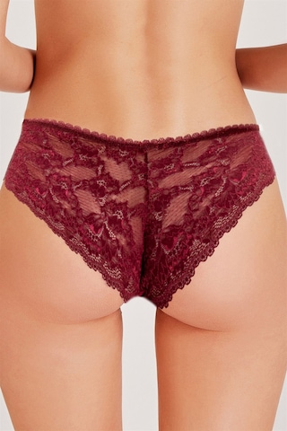 Magic Form 789 Kadın Arkası Dantelli Külot-bordo Bordo