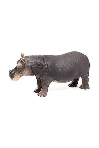 Schleich Wild Life Figür Su Aygırı Cwl14814