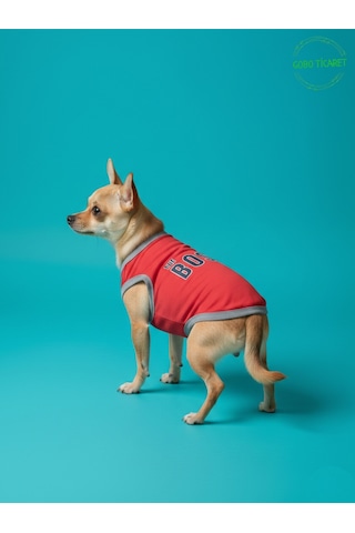 Kırmızı The Boss Patron Yazılı Kedi Ve Köpek Kıyafeti Tişörtü Elbisesi Large/l/beden 3