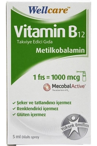 Wellcare Vitamin B12 1000 Mcg Sprey 5 ML