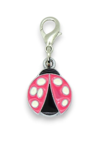 İsimli Kedi Tasması Künyesi- Paslanmaz Metal Kişiye Özel Isimliku