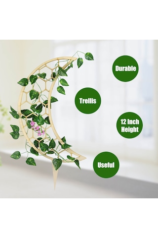 Neevoyu Ahşap Bitki Tırmanma Ayağı 3 Adet - Ev Bahçe Dekorasyonu İçin Dayanıklı Saksı Susturucusu, Kolay Kurulum, Tırmanan Bitkiler İçin Destek