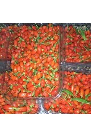 Gojiberry Fidanı 2 Adet 2 Yaş