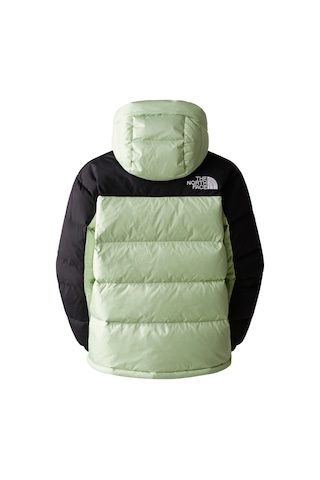 The North Face W Hmlyn Down Parka Kadın Outdoor Montu Nf0a4r2wlgo1 Yeşil 001