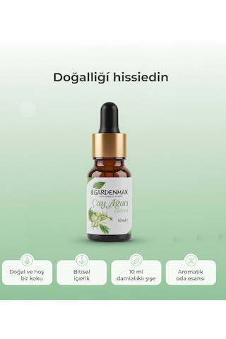 Gardenmax Buhurdanlık Esasnsı Çay Ağacı Çay Ağacı