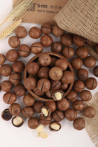 Makademya Fındığı Kabuklu 100 G 100 G