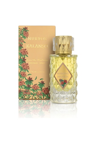 Nurxos 9708 Kalanşo EDP Erkek Parfümü 8681124697080 65 ML