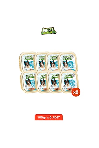 8 Adet Tahılsız Somonlu Köpek Yaş Maması Seti - 100gr X 8 Pate Alucup