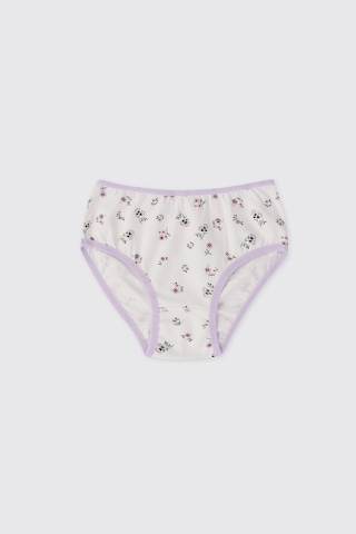 Panço Kız Çocuk Renkli 3'lü Slip Seti 2612gk14001