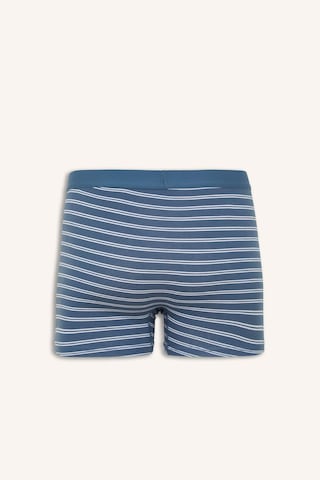Defacto Regular Fıt Baskılı 3lü Boxer I1336ax26spın262 İndigo-ın262