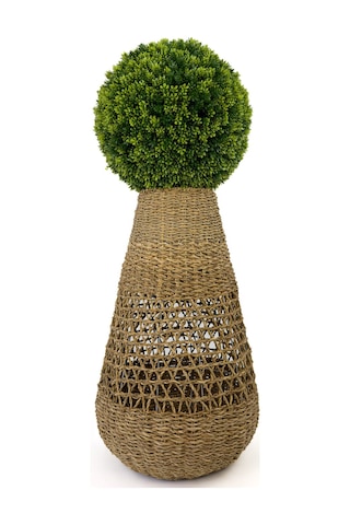 Biçiçek Si̇msi̇r Topu 110 Cm Bohem Saksıda