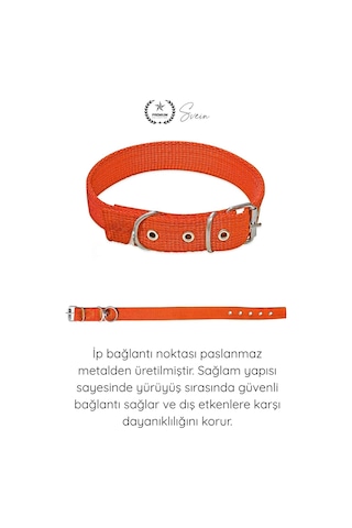 Tasma Dokuma Köpek Boyun Tasması Turuncu 2,5x50 Cm Ayarlanabilir Dayanıklı Gezdirme Tasması Paslanm