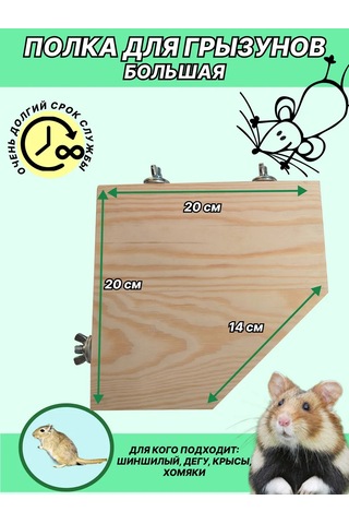 Mouse House Kemirgen Ve Kuşlar İçin Raf 294396139