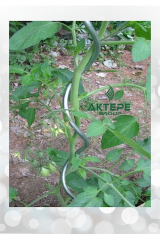 10 Adet 150 Cm Spiral Bitki Destek Çubuğu Sarmal Çiçek Teli Fidan Teli