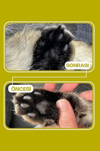 Olivacat Zeytin Çekirdeğinden Üretilen Aktif Karbonlu Tozsuz Doğal Kedi Kumu 3 x 8 L