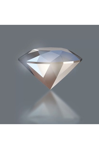 Wera 851/4 Bdc Bits, Ph 1 X 50 Mm