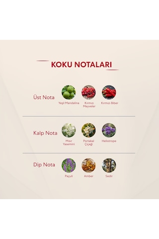 112 + 568 Kadın/erkek Parfüm Edp 50 Ml Floral - Mnms112568 Baharat