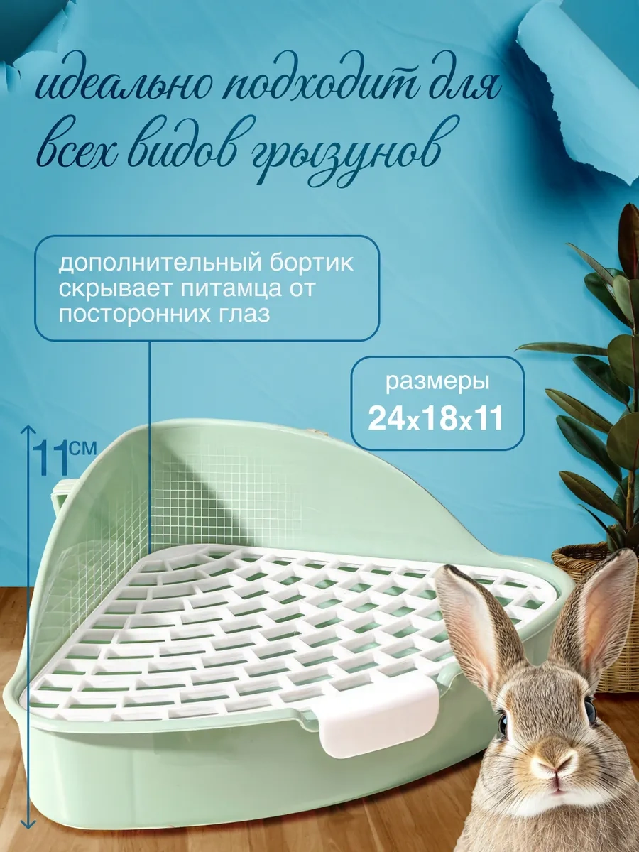 Kemirgen Tepsisi Ve Tavşan Tuvaleti 338723545