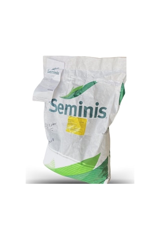 Seminis Ribera Oturak Fasulye Tohumu 1 Kg