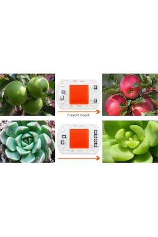 Grow Cob Led 220v 50w Full Spectrum Bitki Yetiştirme Ledi