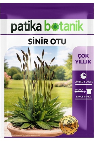 100 Adet Sinir Otu Tohumu (Plantago Lanceolata)