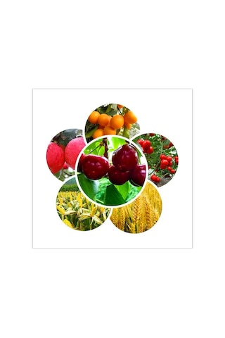 Dr. Tarsa Kök Ve Çiçek Arttırıcı Fosfor Map Gübresi 1 Kg