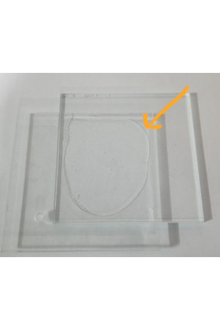 Np 1 Ms Polimer Bazlı Mastik Ve Yapıştırıcı Kristal Kartuş 290Ml