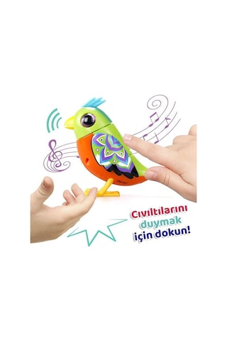 Dıgıbırds Teklı Paket Serı-2 Asortı 8'lı Dısplay Turuncu Yeş