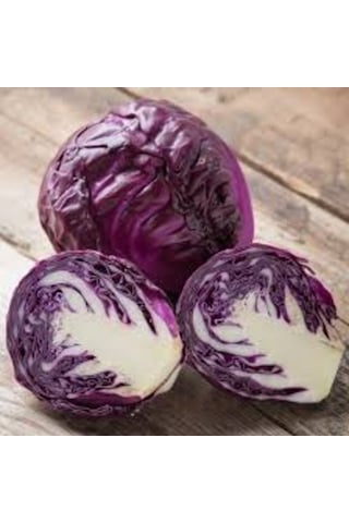 50 Adet Tohum Kırmızı Mor Lahana Kara Lahana Tohumu