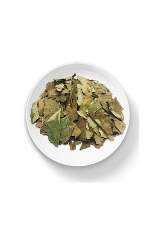 Organik Bitkim Avokado Yaprağı 1000 G