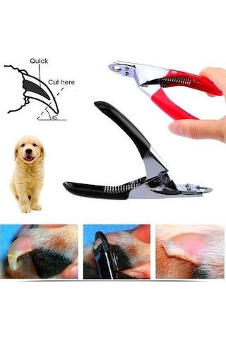Büro Ev Evcil Hayvanı İçin Kedi Köpek Tırnak Makası