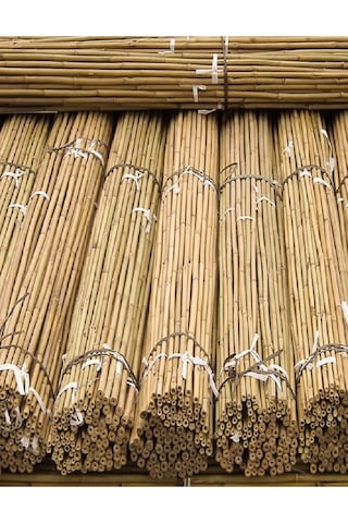 50 Adet Bambu Bitki Fidan Destek Çubuğu 190 - 200 Cm