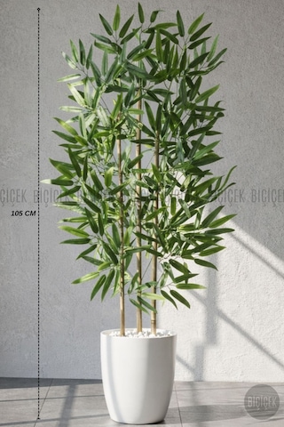 Biçiçek 110 Cm Bambu Ağacı Beyaz Yakut Saksıda