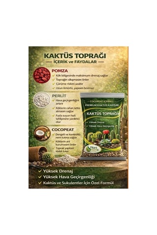 Hüskon Ticaret 5 Litre Premium Kaktüs Toprağı - Böcek Sinek Yapmayan Premium Toprak 5 L
