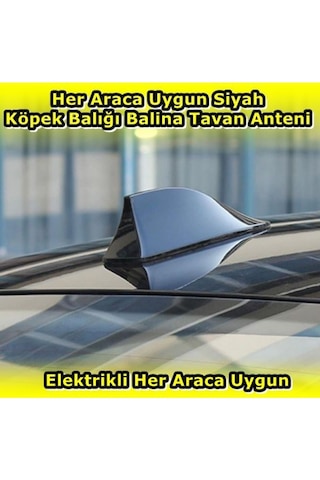 Nkt Group Her Araca Uygun Siyah Shark Köpek Balığı Balina Anten