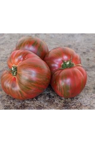 Striped Oxheart Fire Etli Beef Kalp Şeklinde Domates Tohumu 10 Tohum