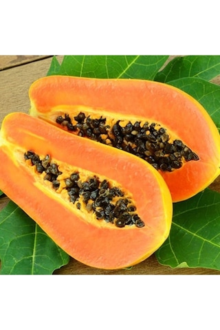 Papaya Ağacı Tohumu Tropikal Papaya Ağacı Tohumu 3 Adet Tohum