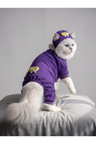 Violet Wings Kedi Bere Ve Tulum Kombini Mor Renk 3d Kelebek Aksesuarlı Penye Kedi Kıyafeti 2 Parça